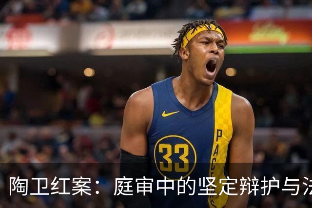 陶卫红案：庭审中的坚定辩护与法律程序的争议
